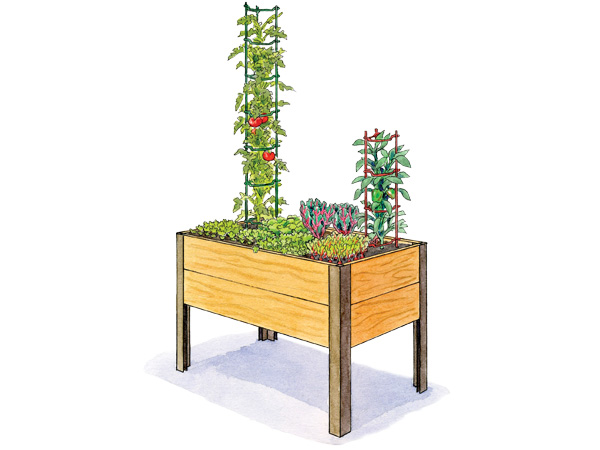 Salad Garden 2x4 Illustration
